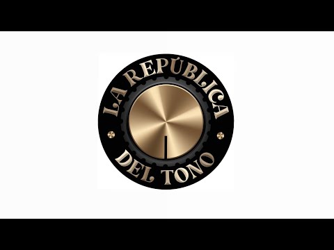 LA REPUBLICA DEL TONO 133 - LO MEJOR DEL 2025