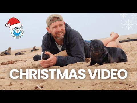 Happy Holidays From The OCN Team!