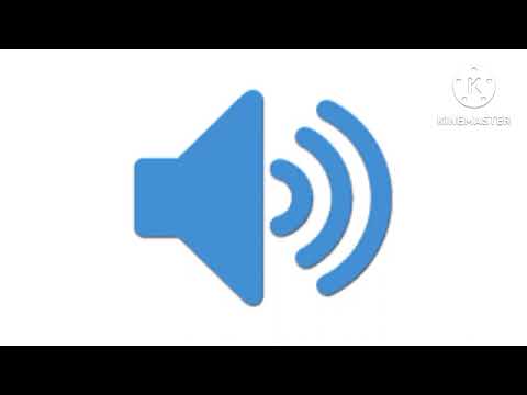 F**k you! You son of a b**ch! (sound effect)