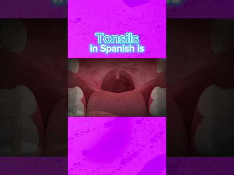 TONSILS IN SPANISH | Medical Consecutive Interpreting