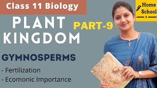 Plant kingdom Biology Class 11 | Gymnosperms | Part-9