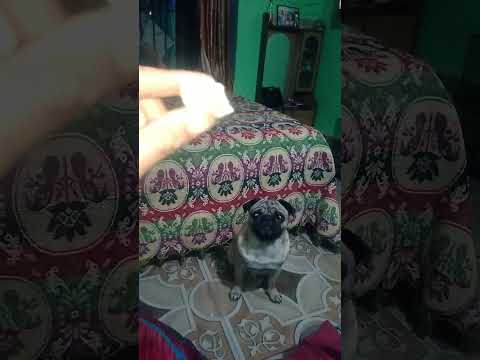 #paggi for sweets 😋😍💕💖..look