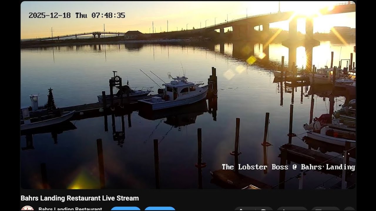 Live webcam view of Bahrs Landing Marina View