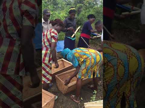 EMPOWER 200 RURAL WOMEN AND YOUTH WITH BEEKEEPING