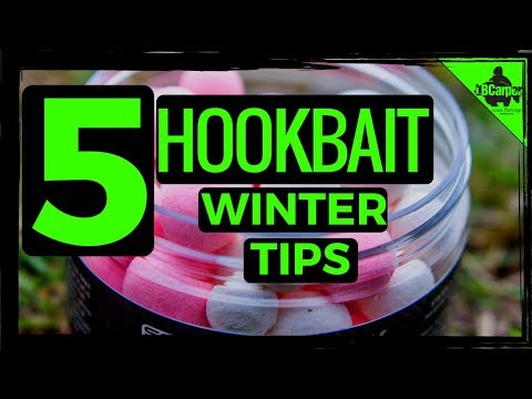 5 CARP FISHING WINTER HOOKBAIT TIPS 😀