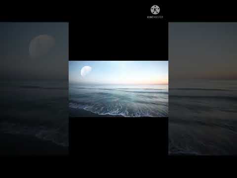 Nature video cinematic.....🌲🍀☘️