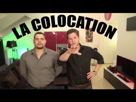 Les Petites Fissures - La Colocation