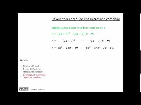 Développer et réduire une expression complexe