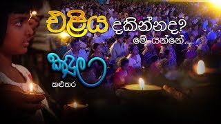 kandula-11-03-2019