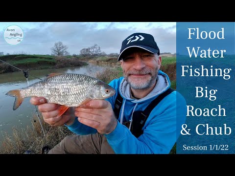 New Year's Day Floodwater Fishing - Small River Roving - Big Roach & Chub - 1/1/22 (Video 289)