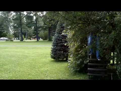 Die Hard With A Terminal Illness