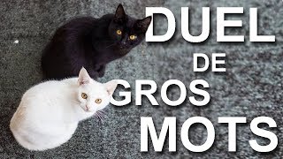 104 DUEL DE GROS MOTS