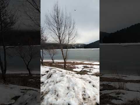 Lago Arvo ghiacciato 2023 (Calabria Lorica)