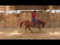 Yegua Quarter Horse En venta 2021 Alaz&aacute;n por AR ROCK STAR