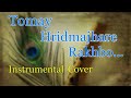 Tomay Hridmajhare Rakhibo || Instrumental Cover || By Taulik Dutta