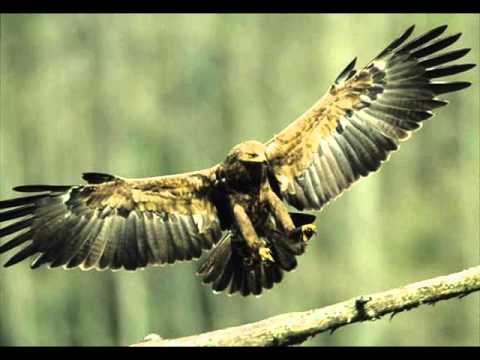 VILLAIN051 feat.. DEE EX - VATERLANDSLIEBE