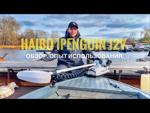 Haibo iPenguin стоит ли покупать? Обзор. Опыт использования.