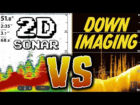 Still Using 2D Sonar? Is Down Imaging Better? We Ask A Sonar Specialist!