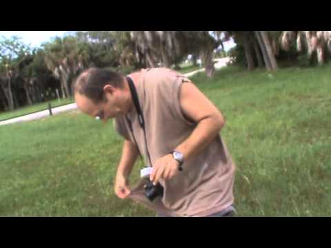 Fort De Soto State Park Video 4