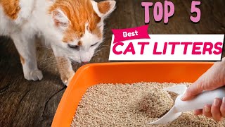 🐱 Top 5 BEST Cat Litters of 2026