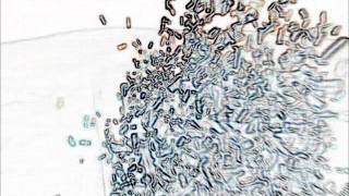 Junior Boys - Last Exit (Fennesz Mix)