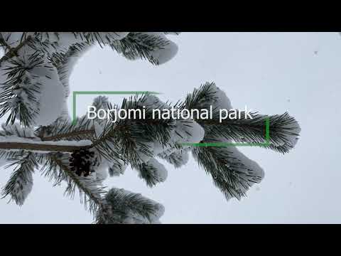 Borjomi National Park