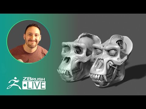 The Basics of Sculpting an Organic Skull - Pavlovich Workshop - Michael Pavlovich