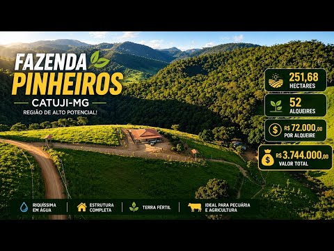 🌿 Oportunidade Rural Fazenda Pinheiros 52 Alqueires em Catuji/MG!