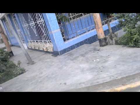 REVELION DE LOS CHARAPAS CREMAS!