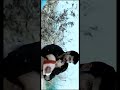 Idhayam Urugithaan Karainthu Povathai Paarkiren Paiya Song Whatsapp Status Full Screen Yuvan 3D