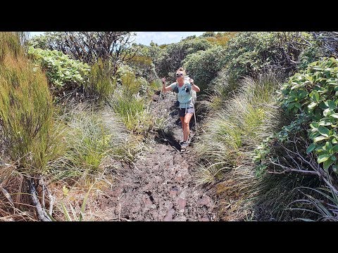 Te Araroa New Zealand 2019/2020 - Day 45: Tararua Day 3, Te Matawai Hut / km 1350