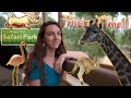 Private African Safari At The San Diego Zoo Safari Park Dream Park
