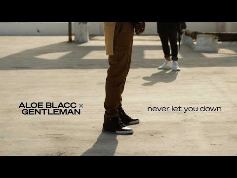 Aloe Blacc x Gentleman - Never Let You Down (Official Audio -:- 2023) - DiGiTΔL RiLeY™