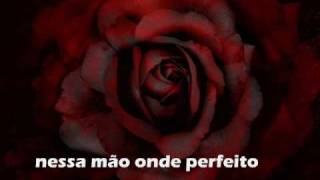 Sónia Tavares - A Gaivota