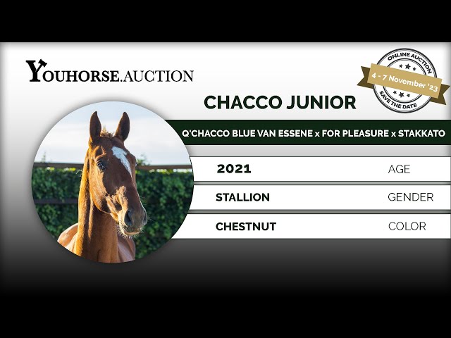 Chacco Junior