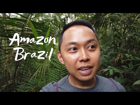 Amazon Tupana Lodge – Amazon Rainforest, Brazil