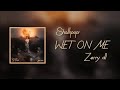 Shallipopi feat. Zerry dl - Wet on me (Lyrics)