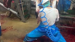 11/01 Flow Yelato beat