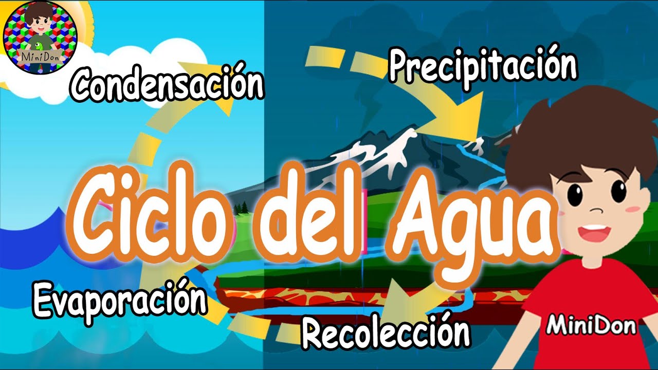 Ciclo del Agua. ¿Qué es el ciclo del agua? ¿Por qué llueve? Video Educativo
