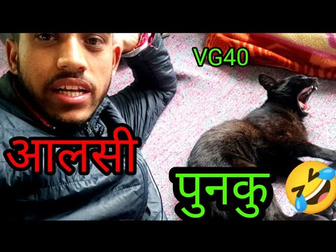 आलसी पुनकु||🤣🤣😅||nishu vlogs||VG40