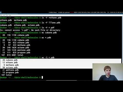 The Unix Shell - Pipes and Filters Part 1 - Software Carpentry