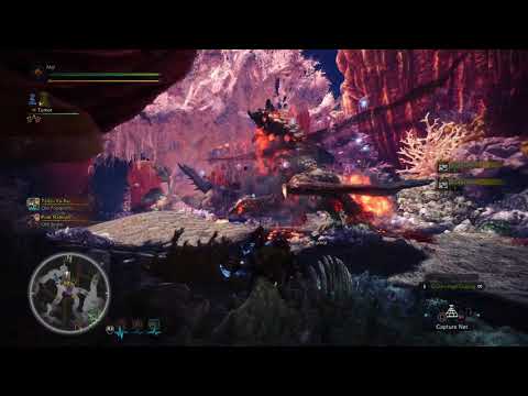 Monster Hunter  World Coral highlands farming route