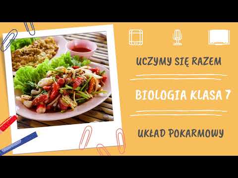 Biologia klasa 7. Układ pokarmowy. Uczymy się razem