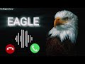 Eagle Ringtone King Ringtone Download MP3 Message Ringtone