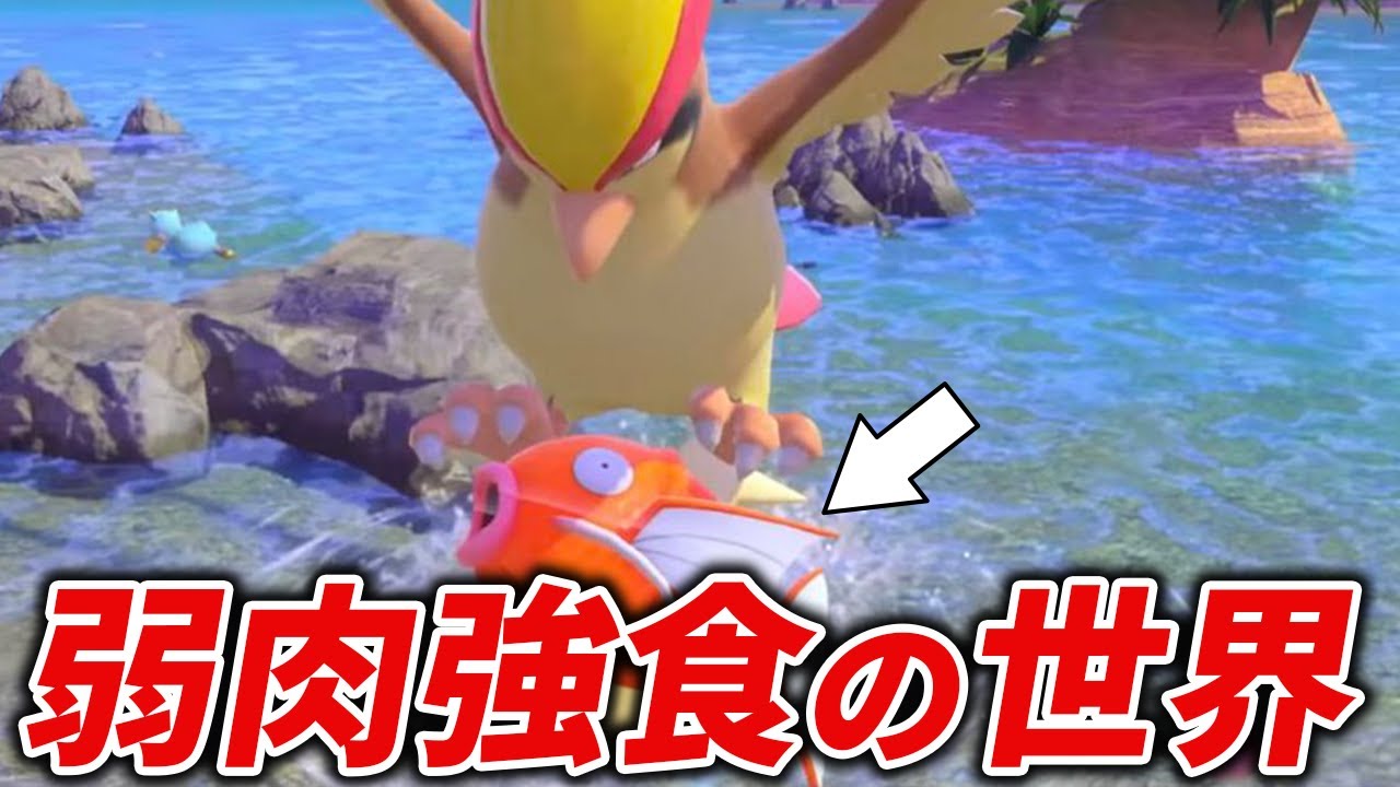 ポケモンのヤバすぎる食物連鎖をまとめてみた【歴代ポケモン】