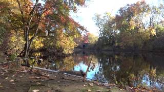 preview picture of video 'Fall Carping at Audubon Lake (Haddon Heights, NJ)'