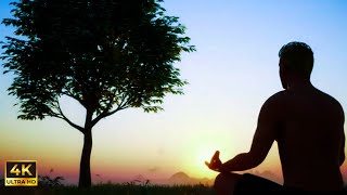 Download lagu Musik Meditasi Pagi Hari 10 Menit untuk Ketenangan Jiwa & Syukur di Awal Hari - 432 Hz mp3