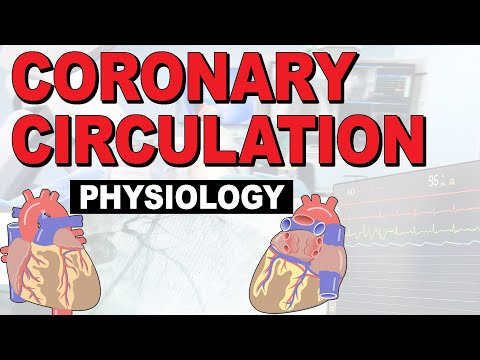 What is the PHYSIOLOGY of the coronary circulation?
