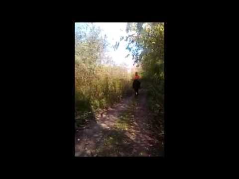 Somával az erdőben 2014 10 18