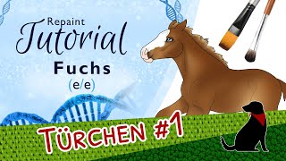 FUCHS REPAINT TUTORIAL (e/e) mit Pastell - Pferdegenetik-Repaint-Kurs - Teil 1